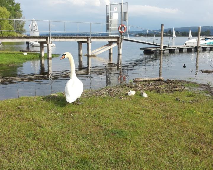 Campingplatz Markelfingen